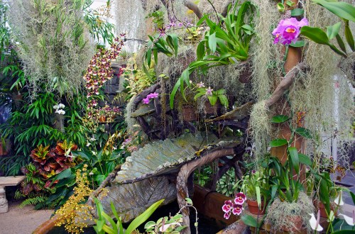 Lush indoor garden featuring vibrant orchids, moss, and a decorative water feature surrounded by greenery.