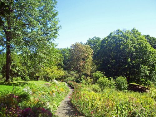 A winding path through a vibrant garden filled with colorful flowers and lush green trees under a clear blue sky.