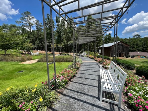A scenic garden path with a metal trellis, benches, and colorful flowers under a blue sky with fluffy clouds.