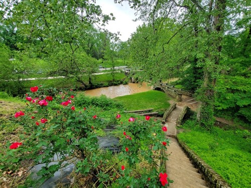 A lush green landscape with a winding creek, surrounded by trees and blooming red roses along a stone pathway.
