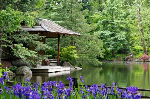 A serene garden scene featuring a pond, lush greenery, and a wooden pavilion surrounded by blooming purple flowers.