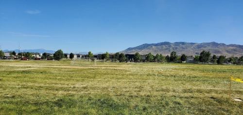 A grassy field with goalposts, surrounded by trees and houses, under a clear blue sky and mountains in the background.