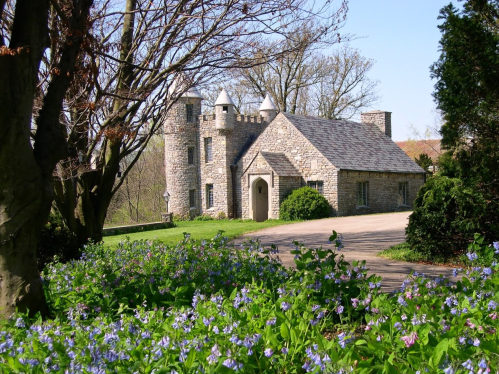 A stone cottage with a slate roof, surrounded by blooming blue flowers and trees, set in a serene landscape.