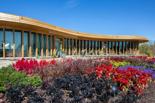 Modern building with curved wooden architecture, surrounded by vibrant flower beds under a clear blue sky.