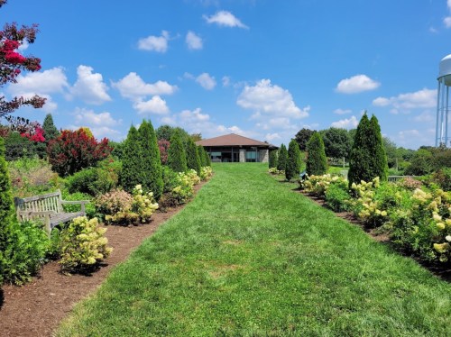 A lush green pathway lined with flowering shrubs leads to a building under a bright blue sky with fluffy clouds.