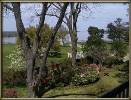 Scenic view of a lush garden with blooming flowers, trees, and a river in the background under a clear blue sky.