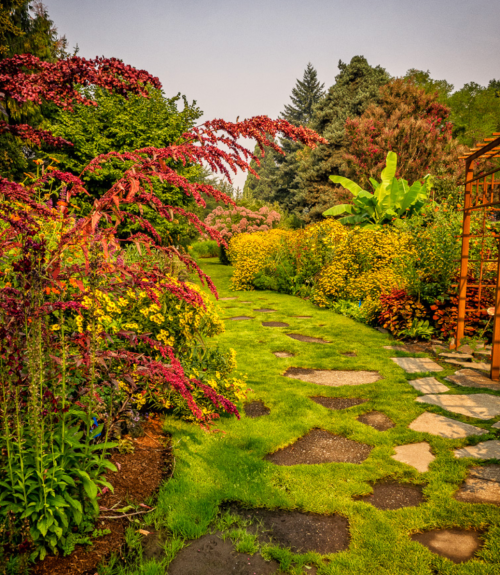 A lush garden path lined with vibrant flowers and greenery, leading through a serene landscape.