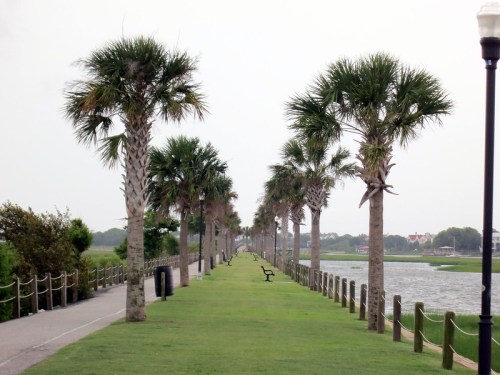 A pathway lined with palm trees and benches, leading to a calm body of water under a cloudy sky.