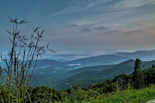 A scenic view of misty mountains under a blue sky, with tall grass in the foreground.