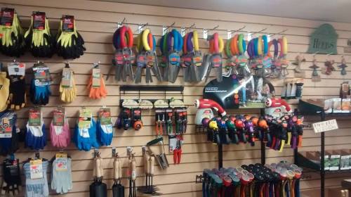 A display of various gardening tools and gloves on a wall, showcasing colorful items and organized shelves.