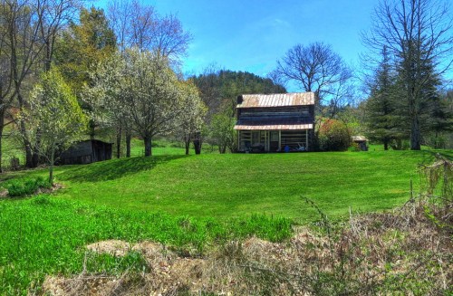 A rustic cabin surrounded by lush green grass and blooming trees under a clear blue sky.