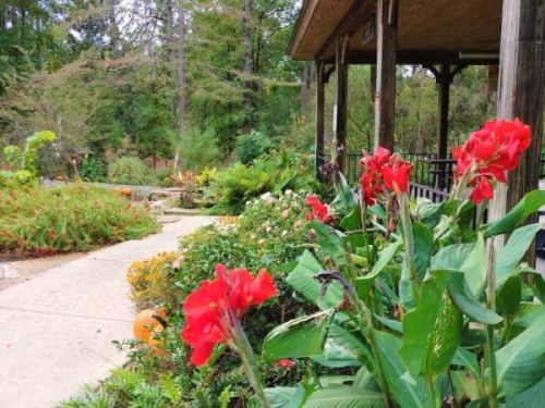 A garden path lined with vibrant red flowers, leading to a wooden gazebo surrounded by lush greenery.