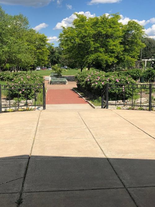 A view of a park pathway lined with greenery and flowers, leading to a bench under a blue sky with fluffy clouds.