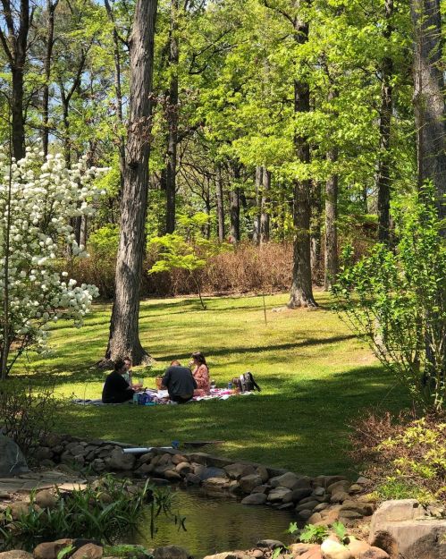 Two people enjoy a picnic on a grassy area surrounded by trees and blooming flowers, with a small stream nearby.