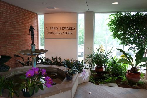 Interior of C. Fred Edwards Conservatory featuring a fountain, plants, and a statue, with large windows letting in natural light.