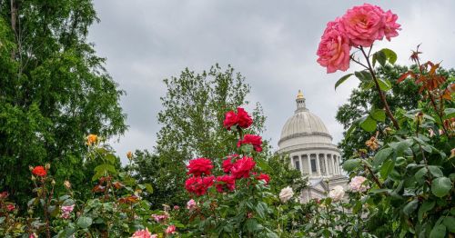 A view of colorful roses in the foreground with a cloudy sky and a dome building in the background.