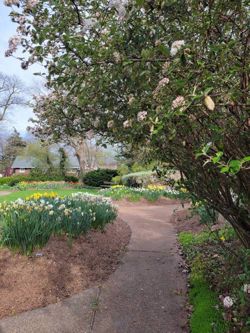 A winding path through a vibrant garden filled with blooming flowers and greenery under a clear sky.