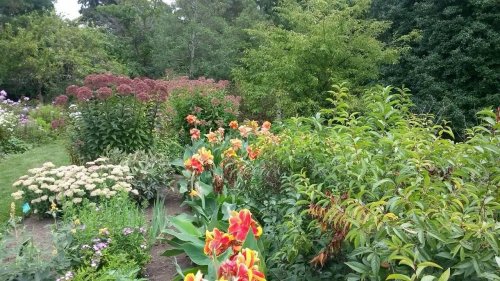 A vibrant garden filled with colorful flowers, lush greenery, and various plants under a clear sky.