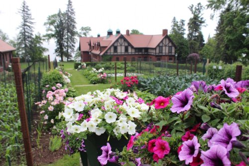 A vibrant garden filled with colorful flowers in front of a large, historic house surrounded by greenery.