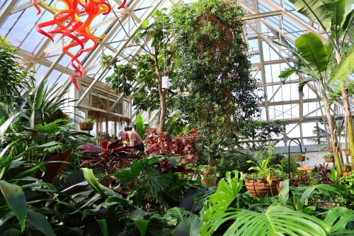 A vibrant greenhouse filled with lush plants, trees, and colorful glass art, creating a serene, tropical atmosphere.