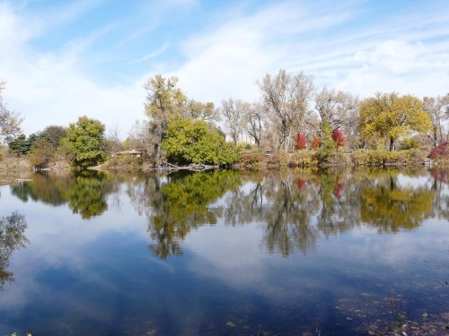 A serene pond surrounded by trees, reflecting the sky and colorful foliage on a clear day.
