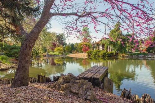 A serene pond surrounded by trees and blooming flowers, with a wooden dock and a quaint house in the background.