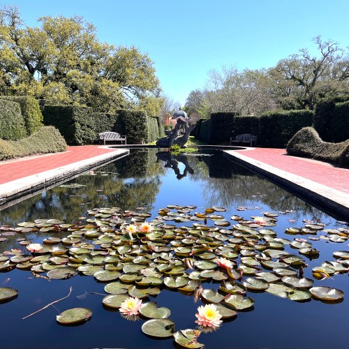 A serene garden pond with water lilies, surrounded by hedges and benches, under a clear blue sky.