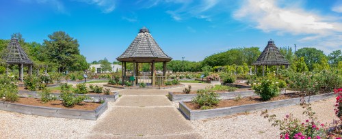 A panoramic view of a rose garden featuring wooden gazebos and neatly arranged flower beds under a blue sky.