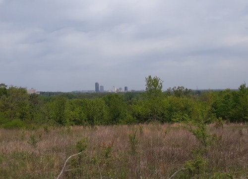 A view of a city skyline in the distance, surrounded by green trees and grassy fields under a cloudy sky.