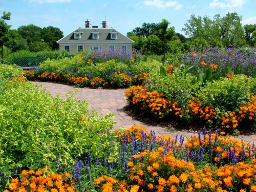 A vibrant garden with colorful flowers in bloom, winding pathways, and a house in the background under a blue sky.