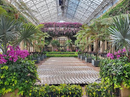 Lush indoor garden with vibrant flowers, ferns, and greenery under a glass ceiling, creating a serene atmosphere.
