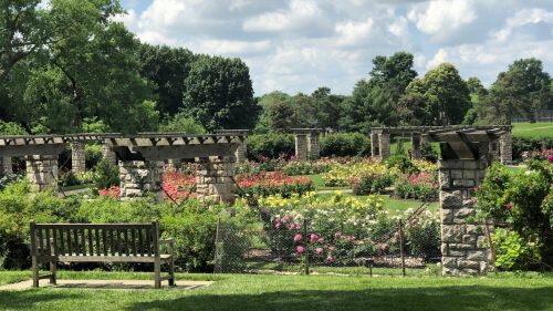 A vibrant garden filled with colorful roses, featuring stone arches and a wooden bench under a blue sky.