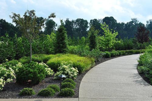 A landscaped garden featuring various plants, shrubs, and trees alongside a curved pathway under a cloudy sky.