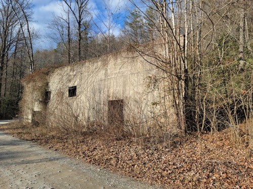 Abandoned concrete building surrounded by trees and overgrown vegetation on a gravel path.