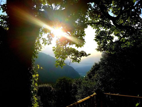 Sunlight filters through leaves, illuminating a scenic view of mountains and valleys in the background.