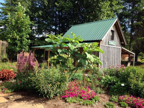 A quaint wooden cabin with a green metal roof surrounded by vibrant flowers and lush greenery.