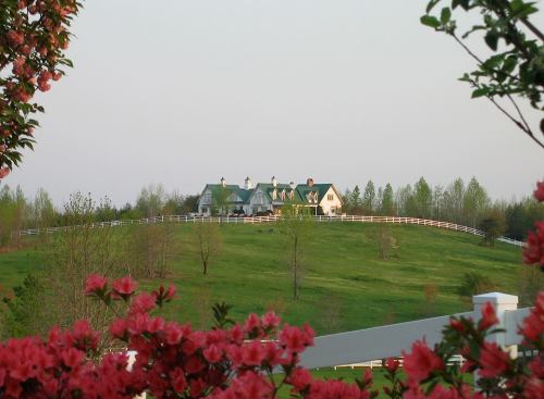 A picturesque house on a hill, surrounded by green grass and blooming flowers, under a clear sky.