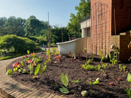 A garden with various plants and flowers, featuring a white bathtub as a unique focal point against a brick wall.