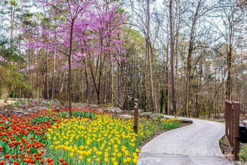 A winding path through a vibrant garden with red and yellow tulips, framed by trees and a blooming pink tree.
