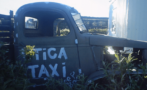 An old, green truck with "TAXI" painted on the side, surrounded by tall grass and plants.