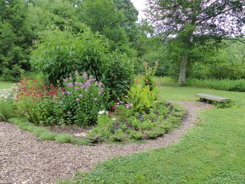 A lush garden with colorful flowers and greenery, featuring a winding path and a wooden bench nearby.