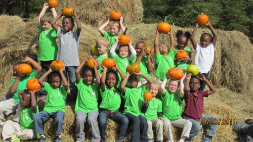 A group of children in green shirts joyfully hold pumpkins above their heads, surrounded by hay bales.
