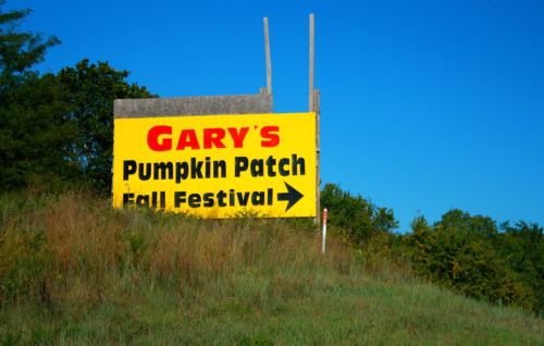 Bright yellow sign for "Gary's Pumpkin Patch Fall Festival" with an arrow pointing right, set against a clear blue sky.