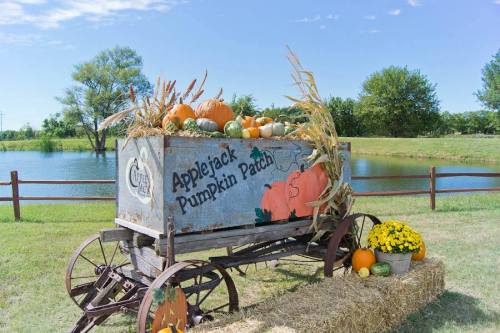 A rustic wagon filled with pumpkins and corn, set by a pond and surrounded by greenery at Applejack Pumpkin Patch.