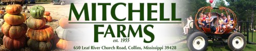 A banner for Mitchell Farms featuring pumpkins, a wagon, and children enjoying a farm visit in Collins, Mississippi.