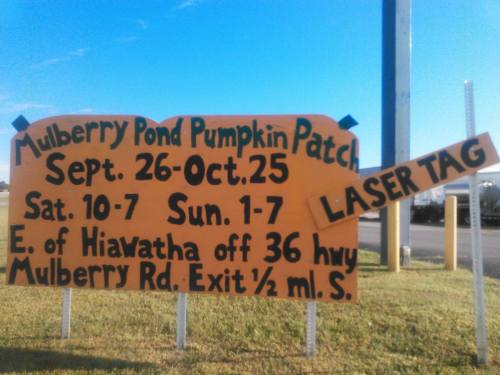 Sign for Mulberry Pond Pumpkin Patch with dates, hours, and location details, featuring a "Laser Tag" arrow.