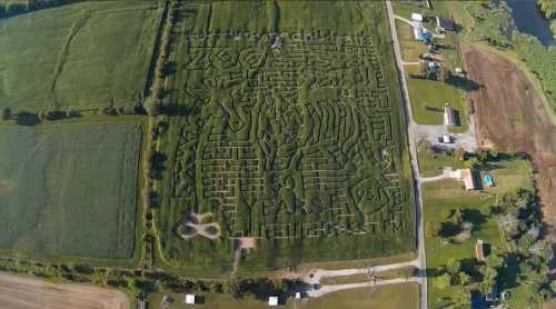 Aerial view of a large corn maze featuring intricate designs and the text "40 Years of Fun."