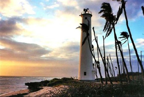 A tall white lighthouse stands by the shore, surrounded by swaying palm trees against a colorful sunset sky.