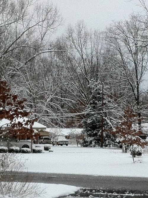 A snowy landscape with bare trees and a dusting of snow on the ground, creating a serene winter scene.