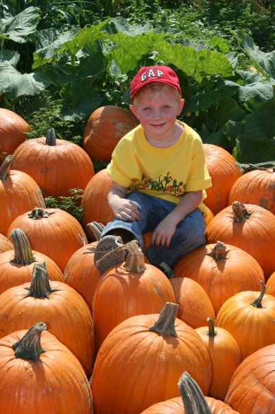A young boy in a yellow shirt and red cap sits among bright orange pumpkins in a sunny pumpkin patch.